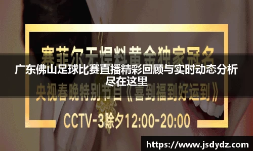 广东佛山足球比赛直播精彩回顾与实时动态分析尽在这里