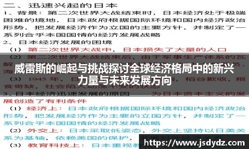 威雷斯的崛起与挑战探讨全球经济格局中的新兴力量与未来发展方向